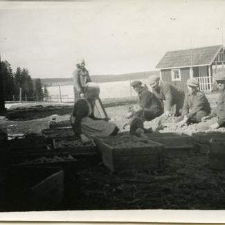 k013